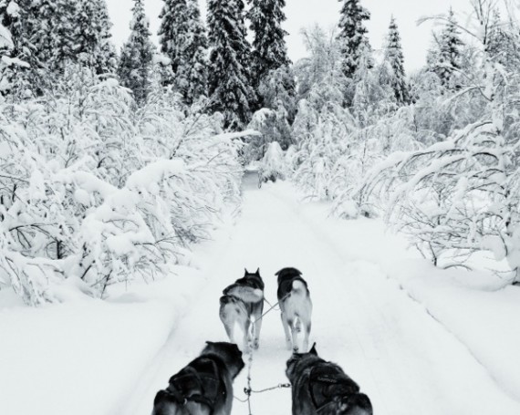 Photography: The Arctic Circle 2014