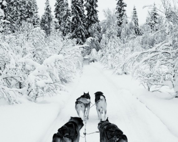 Photography: The Arctic Circle 2014